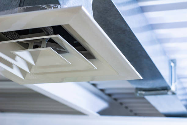 Best Professional Duct Cleaning Services  in Lake Delton, WI